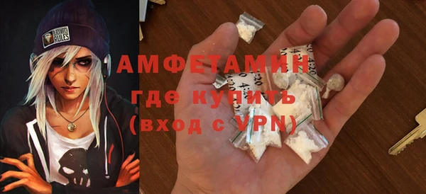 шишки Абаза