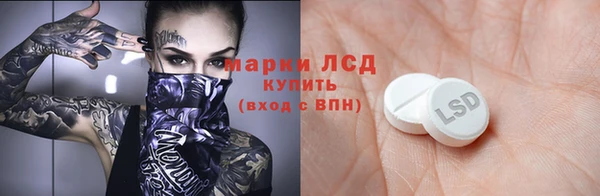 шишки Абаза