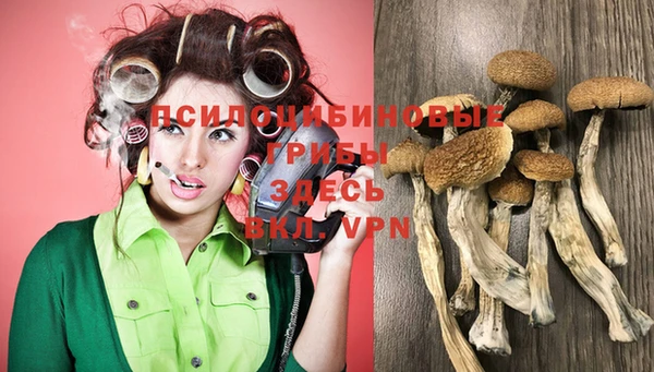 ГАЛЛЮЦИНОГЕННЫЕ ГРИБЫ Алексин