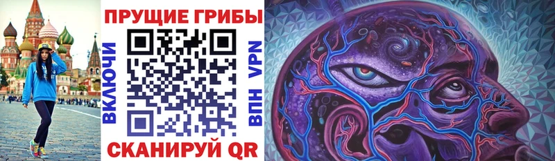 Псилоцибиновые грибы прущие грибы  Королёв 